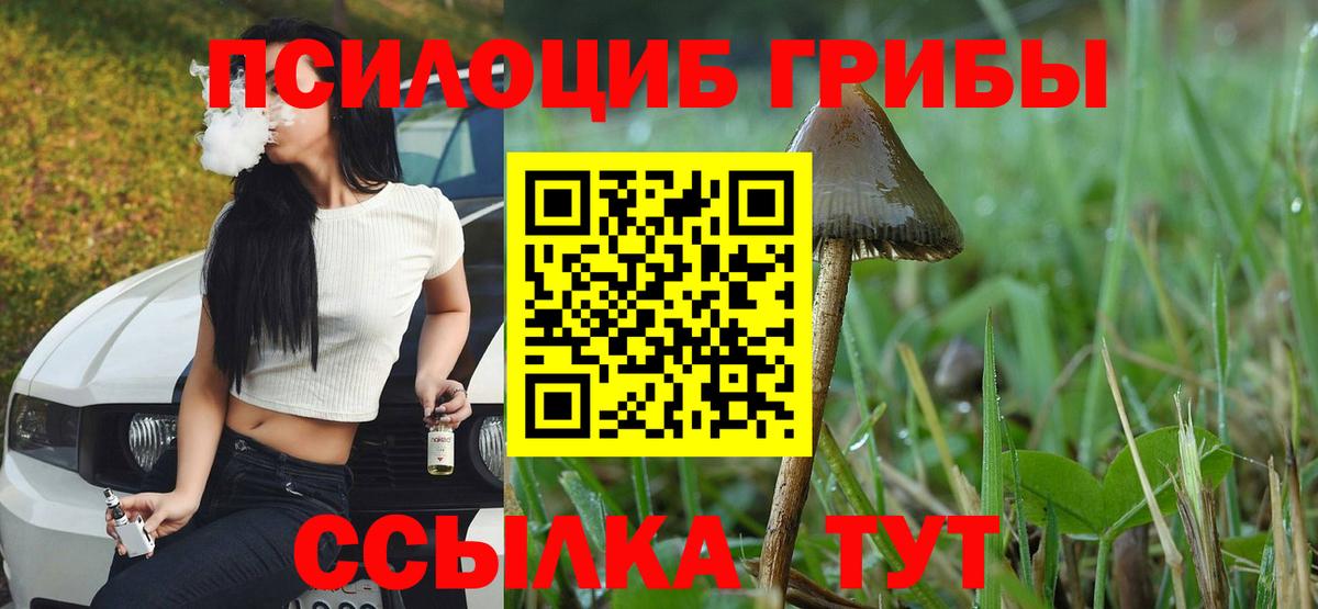 Галлюциногенные грибы Magic Shrooms Котовск