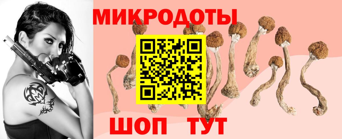 Псилоцибиновые грибы Psilocybe  Вход с VPN  Котовск 